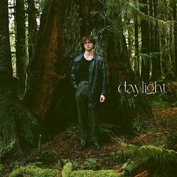 Cover for Daylight by David Kushner